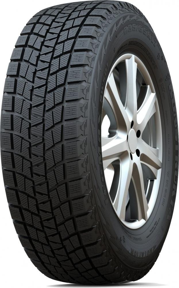 Автомобильные шины Habilead IceMax RW501 225/45R18 91H